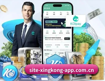 星空体育官网 APP 深度功能